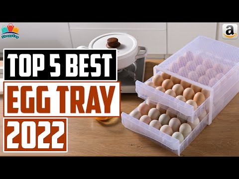 Best Egg Tray (2022) - Best Egg Storage Container (2022) [Top 5