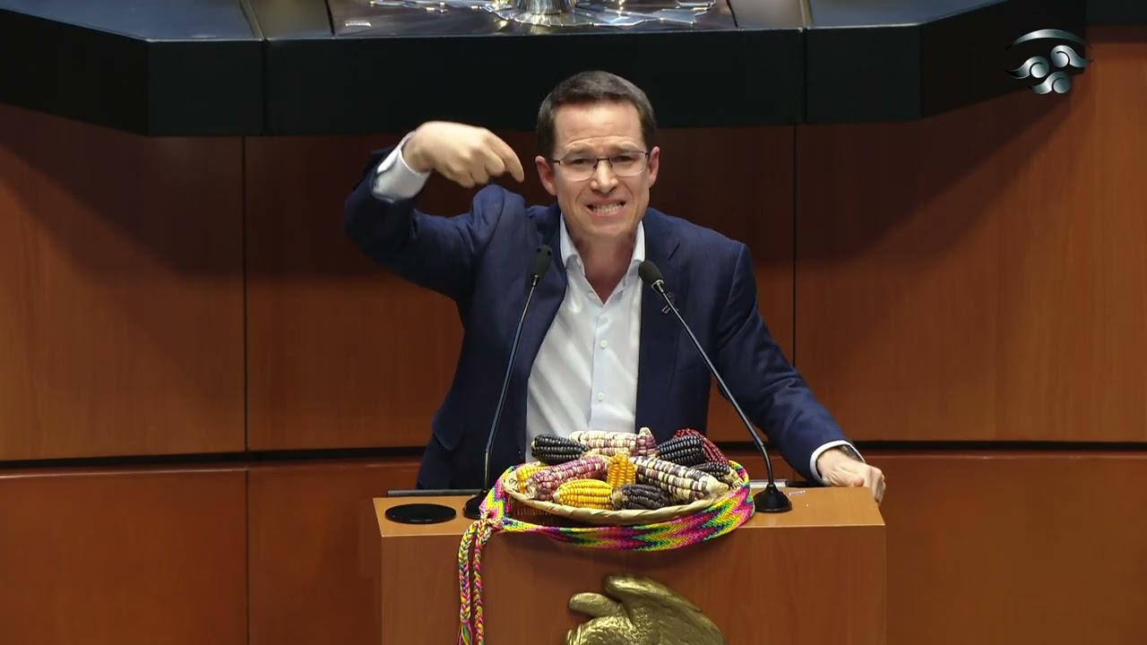 Ya hay una ley que preserva variantes del maíz: Sen. Anaya (GPPAN)