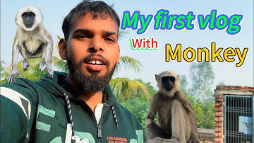 My first vlog 🥰 || vlog shoot ||  vlog video || #vlog #vlogs #trending #monkey #viral #vlogger  