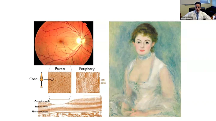 Sight + Sound Bites: Changing Cells: Using Optogenetics to Restore Vision