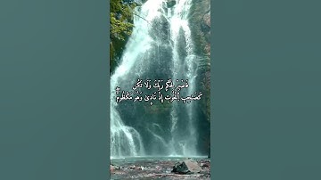 من سورة القلم - برواية ورش عن نافع / تلاوات