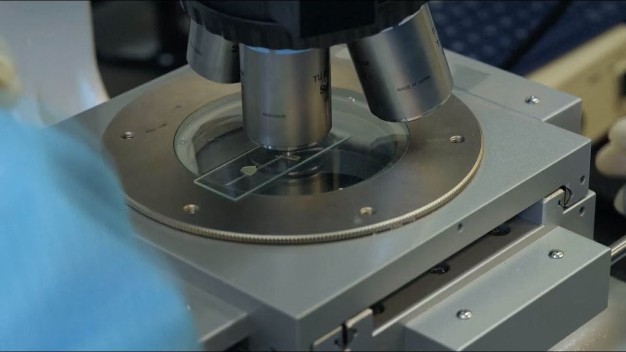 Chinese scientists develop 2D metals 200,000 times thinner than human hair