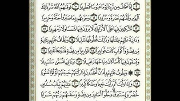 سورة الإنسان للقارئ محمد الداه الشنقيطي