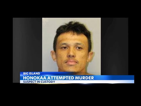 Honokaa murder suspect arrested, after 12 hour search