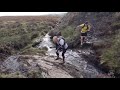 The Wicklow Way Trail Run