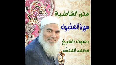 57 سورة العنكبوت - الشاطبية - بصوت الشيخ محمد المنشد