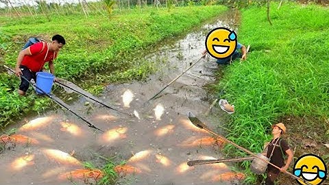 Tổng Hợp Những Pha Kích Rô Phi Nước Sâu, Cá Chép, Cá Lóc, Cá Sông Hay Nhất - Kích Cá 25d Chung Đội