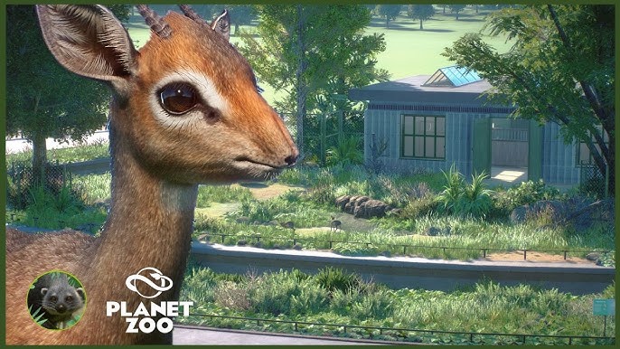 Yosh porno yalangoch qizlar beach sexy