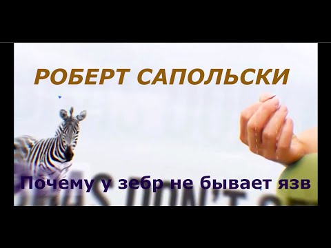 Роберт Сапольски. Почему у зебр не бывает язв. Перевод студии СТАХАНОВ2000