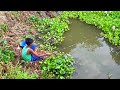 Hook Fishing - Traditional Hook Fishing - MR Fishing Life