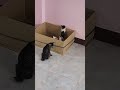 NAGDUWA NA SILA NAGDUWA NA SILA