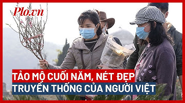 Tảo mộ cuối năm, nét đẹp truyền thống lâu đời của người Việt - PLO