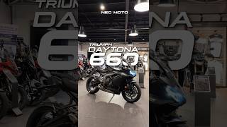 2024 Triumph Daytona 660 #daytona660 #shorts