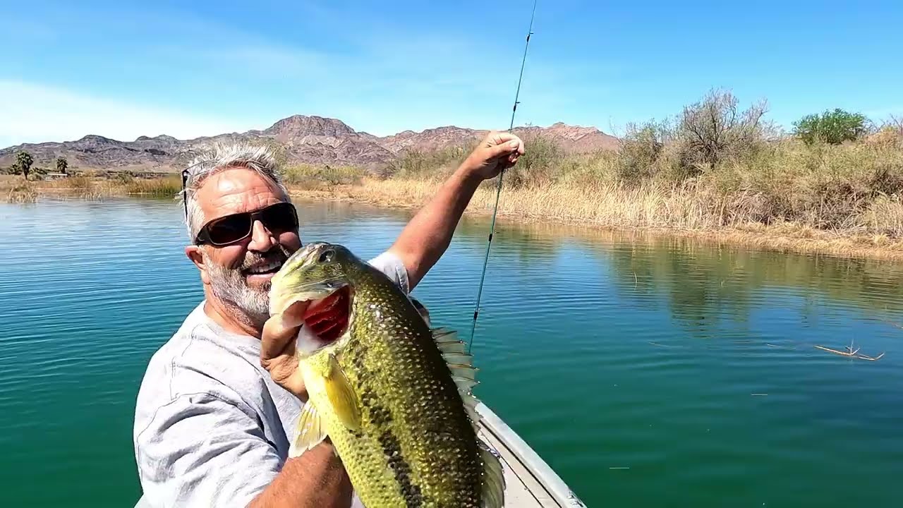 How to Bass Fish The Colorado River Lost Lake Adventure CA Side Near Parker AZ