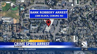 Crime Spree Arrest