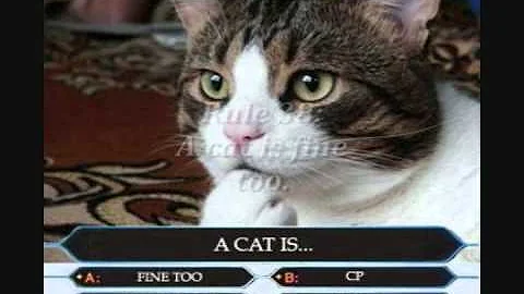 Rules of the Internet