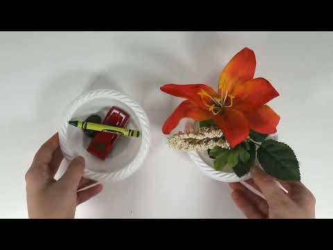 PEAS Life Science Model Activities - Living Things (Activity 2 Prep)