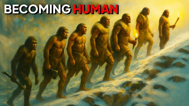 The 7 Stages of Human Evolution | Prehistory For Sleep