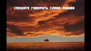 Христианская песня " Спешите говорить слова любви" Мсц Ехб