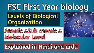 . "How Matter is Built: Atomic & Molecular Structure Explained in Hindi and urdu