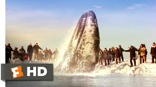 Big Miracle 2012 - Breaking Free Scene 1010 Movieclips