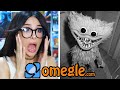 I Found HUGGY WUGGY On Omegle