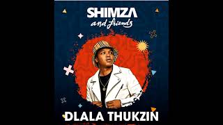 Guest Afro Tech House mix 2026 | Shimza and  Dlala Thukzin style 