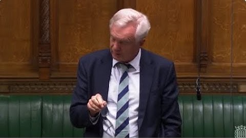 David Davis MP makes an intervention during the debate on the Online Safety Bill
