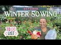 Do these three things now for winter sowing success    the southern daisy