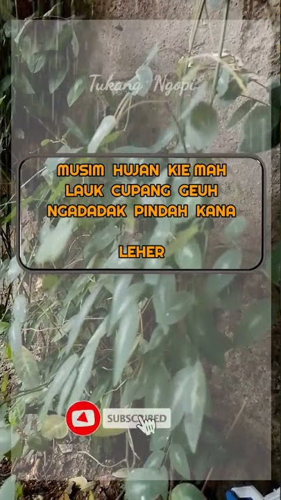 Status wa sunda Musim Hujan Lur #shorts #storywa #storysunda #qoutes #vidioshorts
