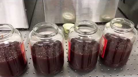 HyTek Liquid Filler - 1000cc Single Head