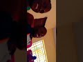 Kust Wudil University Kano Kust Wudil University Kano