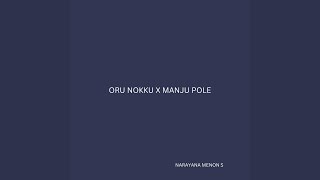 Oru nokku x Manju pole - Narayana Menon S