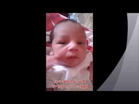 حبيبي نوح