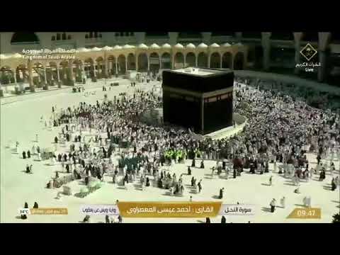 سورتي النحل الإسراء بصوت الشيخ أحمد عيسى المعصراوي برواية رويس عن يعقوب الحضرمي