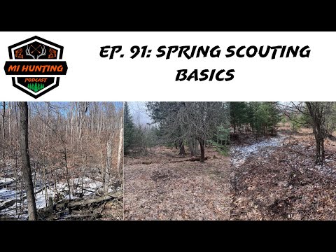 Ep. 91: Spring Scouting Basics