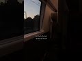 الحمد لله بلا سبب الحمد لله بلا طلب الحمدلله بلا عدد الحمدلله حتى يرضى الحمد لله بلا سبب الحمد لله بلا طلب الحمدلله بلا عدد الحمدلله حتى يرضى