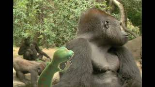 Geico   Gorilla 2007 Usa