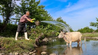 Village Life Iran | Mix Daily Routine Village Life in Iran | Village SPRING water