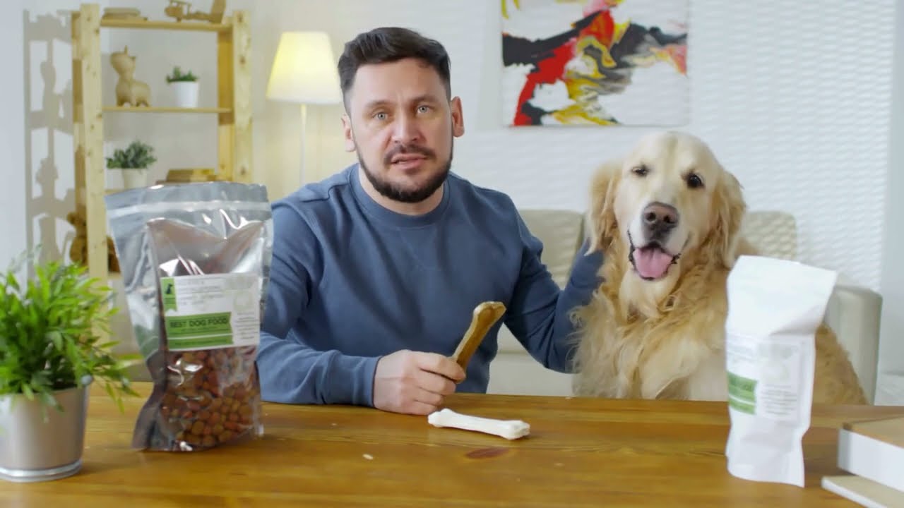 How Can You Stop Your Dog from Chewing? Causes and Solutions for Pet Owners || veterinary channel