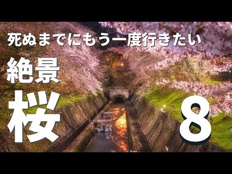 【桜絶景ランキング】関西の絶景桜スポット８選（2023年撮影分から厳選）