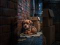 Lost puppy crying in the rain... until Leo helped him find home again