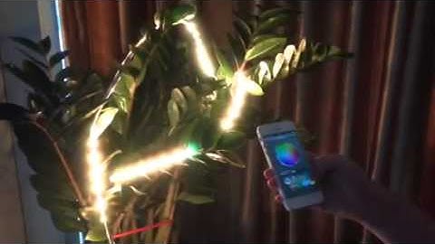 Osinyang-Demo-Bluetooth LED Strip