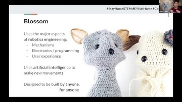 Blossom, A Handcrafted Robot