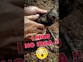This amazing process totally surprised me #skills #ancientcraftsmanship #ancient #viralvideo