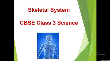 Skeletal System | CBSE Science| Class 3 | BY Mrs. Deepali Mule