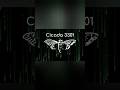 Cicada 3301 The Internet Mystery #cicada #cicada3301 #shorts