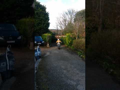 camera iphone 8 plus apk SUZUKI VAN VAN BUNNY