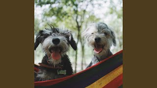 Easy Backdrops for Midsummer Pups