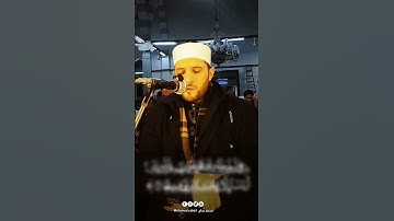 ترتيل الفجر (ألم تر إلي الذين يزعمون أنهم آمنوا..) سورة النساء Mohamed Saber|محمد صابر